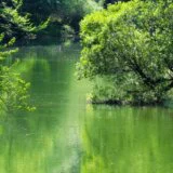 Priroda i fotografije: Od Vražjeg kamena do Ade Ciganlije - koja su nova zaštićena područja u Srbiji 12