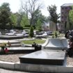 Izmenjena odluka o sahranjivanju u Aleji zaslužnih građana: Kakva je procedura i ko će odlučivati? (FOTO) 71
