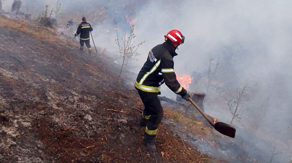Sektor za vanredne situacije: Od 15. juna do 15. jula ugašeno 1.245 požara na otvorenom prostoru 1