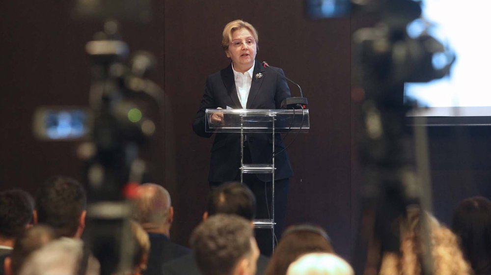 Otporna na stvarnost: Ko je Zagorka Dolovac? 1