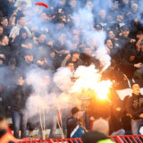 Huligani za domaću upotrebu 5