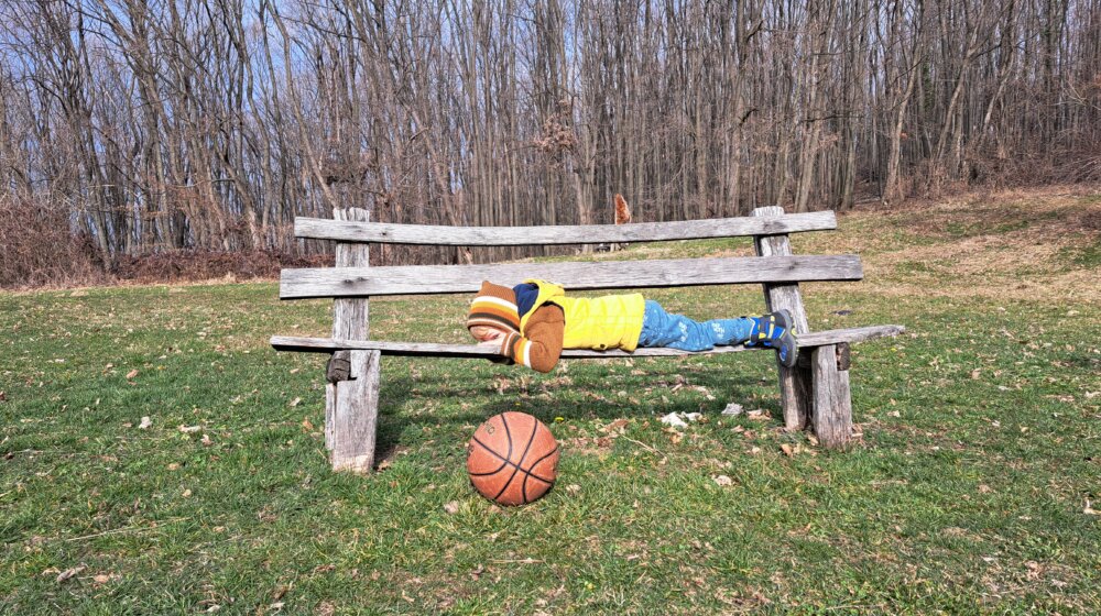 Gde ćemo za Prvi maj: Najpopularnija i najlepša mesta na Fruškoj gori za uživanje u prirodi 1