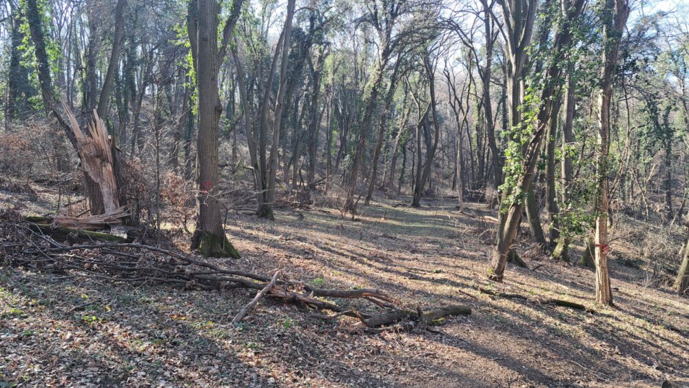 Gde ćemo za Prvi maj: Najpopularnija i najlepša mesta na Fruškoj gori za uživanje u prirodi 3