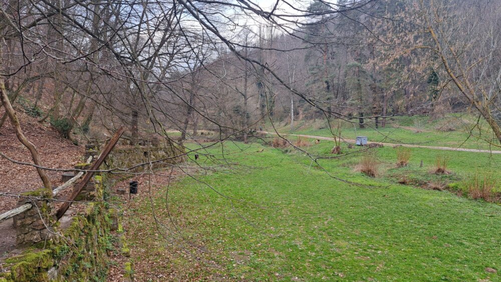 Gde ćemo za Prvi maj: Najpopularnija i najlepša mesta na Fruškoj gori za uživanje u prirodi 2