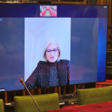 NBS razmatra saradnju sa Vajberom u oblasti instant plaćanja 2