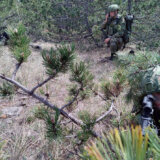 Ispitivanje u kasarni "Žarkovo" od 3. do 6. februara 6