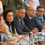 Govor Marinike Tepić (SSP) na sastanku o izbornim uslovima: Uvaženi ambasadore... 4