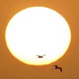 Oblaci prašine i peska iz Sahare prekrili nebo Grčke 5