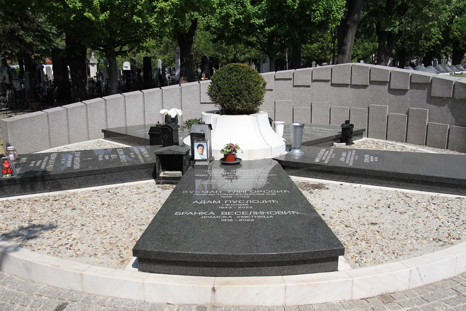 Izmenjena odluka o sahranjivanju u Aleji zaslužnih građana: Kakva je procedura i ko će odlučivati? (FOTO) 3