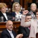 Bez vlasti, moći, ambicija i u potpunoj senci predsednika: Sagovornici Danasa o Vladi Ane Brnbić „u odlasku” 6