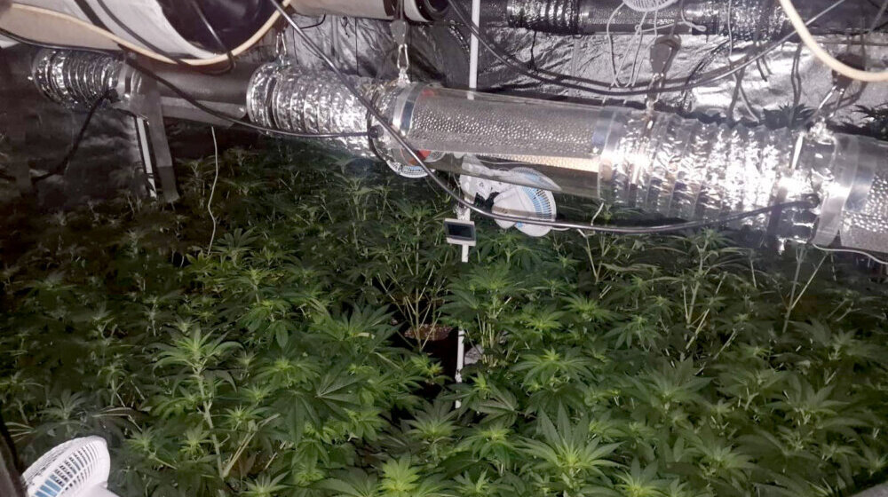 Policija u Beogradu zaplenila 15 kilograma marihuane i oko 15.000 tableta ekstazija 1