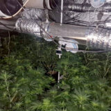 Policija u Kragujevcu otkrila laboratoriju za proizvodnju droge (FOTO) 14