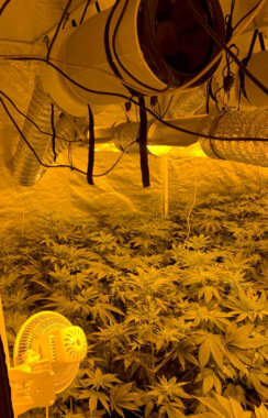 Droga laboratorija Kragujevac 02 Policija u Kragujevcu otkrila laboratoriju za proizvodnju droge (FOTO) 2