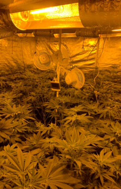 Droga laboratorija Kragujevac 03 Policija u Kragujevcu otkrila laboratoriju za proizvodnju droge (FOTO) 3