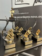 Uspeh studenata harmonike kragujevačkog FILUM-a na prestižnom Međunarodnom takmičenju u Belgiji 3