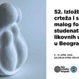 52. Izložba crteža i skulptura malog formata studenata Fakulteta likovnih umetnosti u Beogradu 10