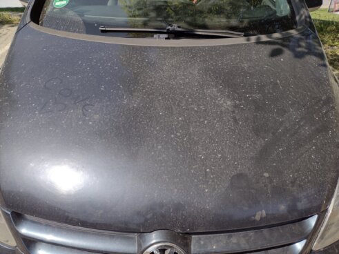 Već pet godina izloženi smradu, buci i prašini: Građani kragujevačkog naselja Ilina voda ugroženi radom fabrike peleta „Dorado” 9