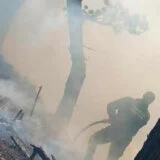 U Nacionalnom parku "Durmitor" zbog požara ugrožen biodiverzitet 3