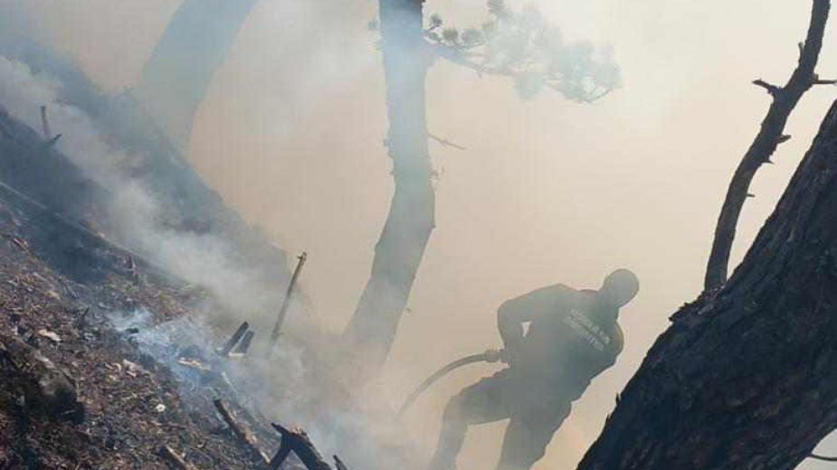 U Nacionalnom parku "Durmitor" zbog požara ugrožen biodiverzitet 1