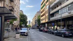 Zeleni pokret Vračar: Da Negoševa ulica postane šetačka oaza
