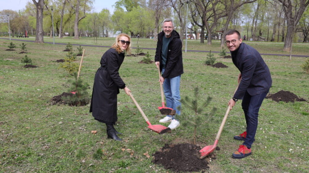 Maratonska šuma bogatija za 37 novih sadnica: Beogradski maraton u znaku zaštite životne sredine 1