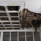 SSP Jagodina: Sramota je da je biblioteka u ovakvom stanju na 115. godišnjicu (FOTO) 1