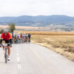 Biciklističko takmičenje "Gran Fondo Novi Sad" u junu na Fruškoj gori: Uživanje u vožnji i pejzažu, a najbolji idu u finale u Dansku 45