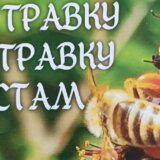 U Dečjem kulturnom centru biće predstavljena nova knjiga „Da travku uz travku vrstam'' Radmile Šehić 11