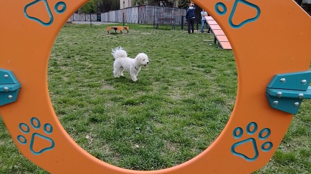 Sve bi bilo super da nema neodgovornih i bahatih vlasnika: Kragujevac dobio prvi Pet park za kućne ljubimce (FOTO) 1