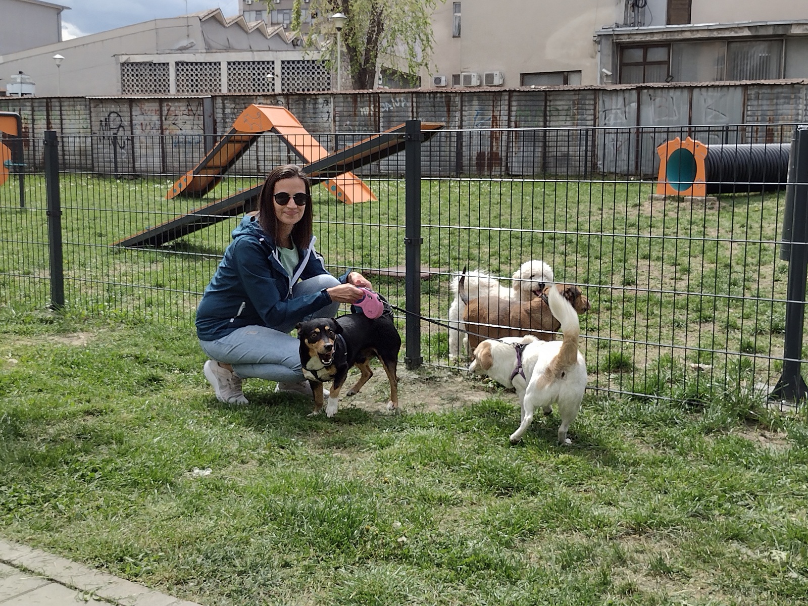 Sve bi bilo super da nema neodgovornih i bahatih vlasnika: Kragujevac dobio prvi Pet park za kućne ljubimce (FOTO) 2