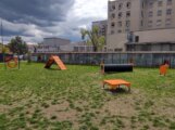 Sve bi bilo super da nema neodgovornih i bahatih vlasnika: Kragujevac dobio prvi Pet park za kućne ljubimce (FOTO) 11
