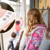 Ekskurzija dva dana u Kladovu 15.000 dinara: Šta sve roditelji plaćaju i na čemu bi se moglo uštedeti? 10