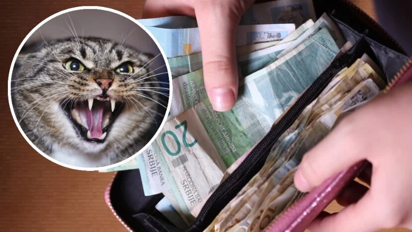 Procenat preživljavanja: Računica koju je ekonomska maca doktorirala 1