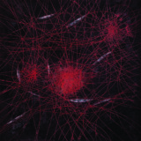 Uzbudljiv svet vajara Vukašina Milovića: U Galeriji Haos večeras izložba skulptura i crteža na metalu "Linearni koloplet" 4