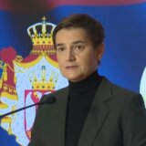 Brnabić: Rezolucijom o Srebrenici, kao da se svet okrenuo naglavačke, bacaju šibicu na Balkanu 10