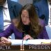 (VIDEO) Predsedavajuća sednicom SB UN lupala šakom o sto zbog Vučića 17