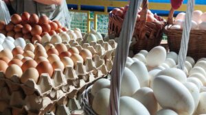 “Ma kakvo slavlje, meni dođe da plačem od muke”: Cene jaja, farbe i dekoracije u Zaječaru pred Uskrs