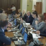 Ko su sve članovi Radne grupe za izbore? 8