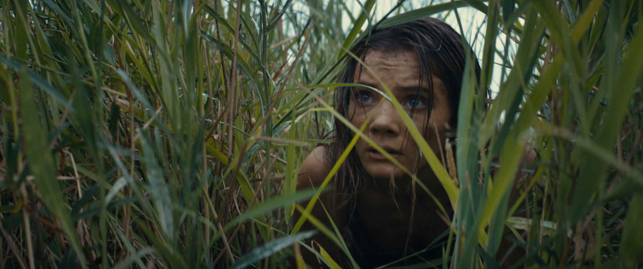 "Nova planeta majmuna: Kraljevstvo" na Dan planete Zemlje, a potom i u bioskopima 1