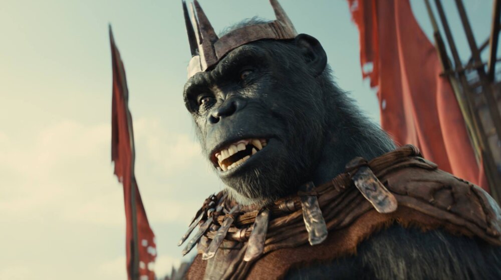 Planeta majmuna: Kraljevstvo