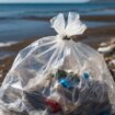 Dan planete Zemlje: Do 2040. smanjiti proizvodnju plastike za bar 60 odsto, bebe najugroženije 16