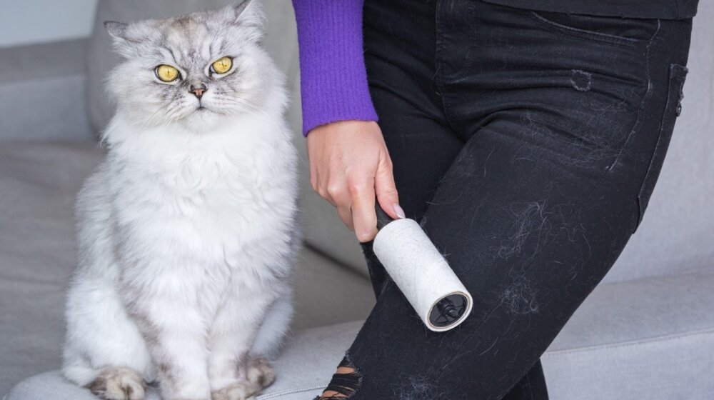 Muče vas dlake na tamnoj odeći: Imamo trik koji će vam olakšati život 1