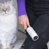 Muče vas dlake na tamnoj odeći: Imamo trik koji će vam olakšati život 12