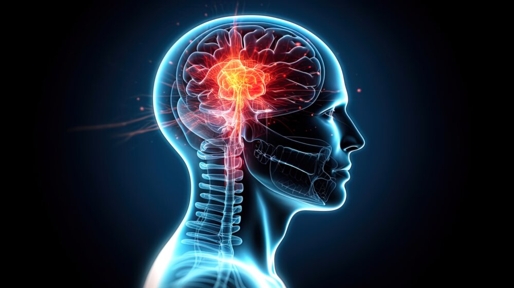 Naučnici otkrili ključne delove mozga u kojima bi mogao biti „izvor" psihoze 7