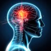 Naučnici otkrili ključne delove mozga u kojima bi mogao biti „izvor" psihoze 29