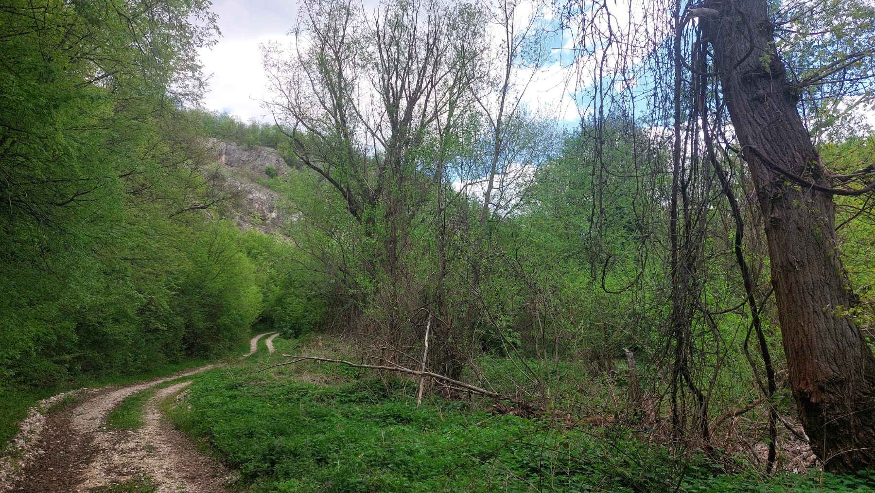 Nastavljena potraga za telom Danke Ilić: Naređena obdukcija preminulog D.D, pretražuje se jama iznad Lazarevog kanjona (FOTO, VIDEO) 3 Nastavljena potraga za telom Danke Ilić: Naređena obdukcija preminulog D.D, pretražuje se jama iznad Lazarevog kanjona (FOTO, VIDEO) 6