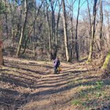 Prema tvrdnjama planinara, čuvar šume na Fruškoj gori udavio povređenog srndaća: Preduzeće ispituje odgovornost zaposlenog 9