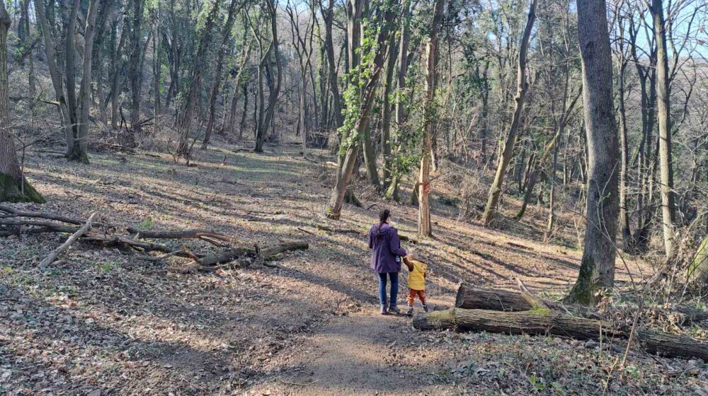 Nacionalni park Fruška gora: "Naši čuvari sve češće na meti napada, ponižavaju ih, psuju i vređaju" 1
