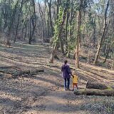 Pokret odbranimo šume Fruške Gore: Kroz priču o odbrani zemlje, uništava se priroda zbog interesa privatne firme 9