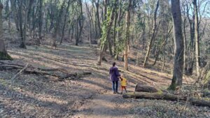 Pokret odbranimo šume Fruške Gore saopštava da je u toku postupak izmene Prostornog plana područja posebne namene Fruška gora u kome se na lokalitetu Pavlasov čot privatni interesi "guraju" kroz priču o odbrani zemlje. Jedna od najdražih tački okupljanja ljubitelja prirode u našem najstarijem nacionalnom parku, tako će biti posečena i nedostupna za građane. Na njoj treba na nikne vojni objekat, navnodno, radar.